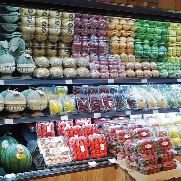 오픈다단-청과/야채